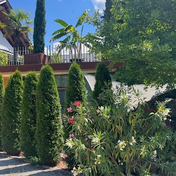 AlbChalets - Freiraum mit eigener Terrasse